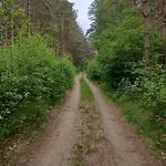 Zielone Zacisze Wierzchucino