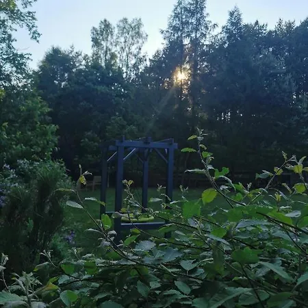 Zielone Zacisze * Wierzchucino