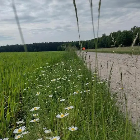 Semesterbostad Zielone Zacisze